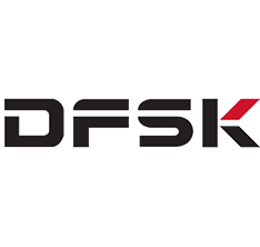 Logo SDFK