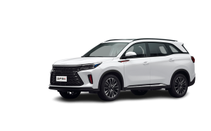 coche chino dfsk 600