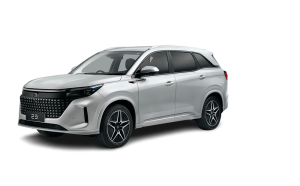 coche chino badalona